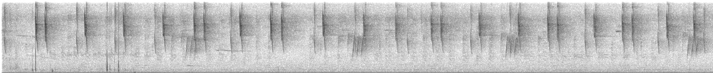 Colibrí Verdemar Mexicano - ML645357630