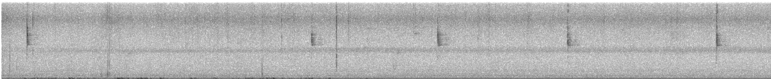 Northern Waterthrush - ML645357651