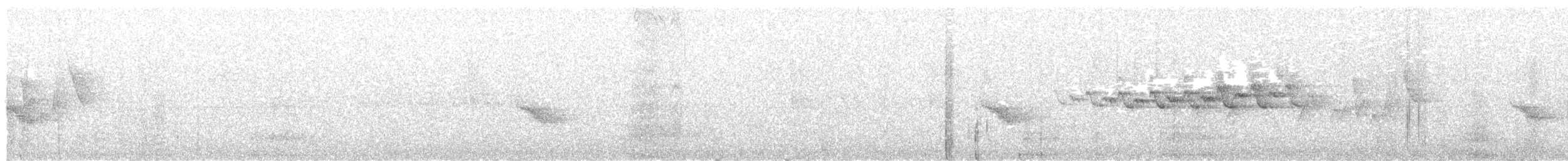 Bicknell's Thrush - ML645359342