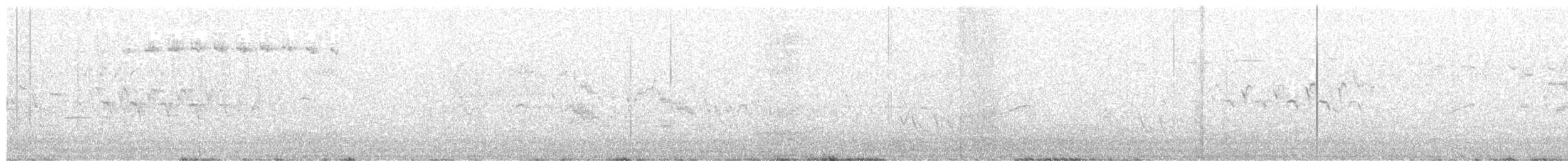 Bicknell's Thrush - ML645359344