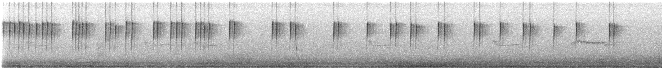 Anna's x Costa's Hummingbird (hybrid) - ML645359797