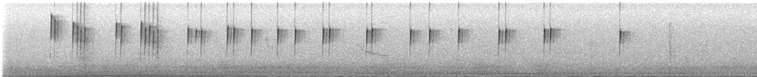 Anna's x Costa's Hummingbird (hybrid) - ML645359798