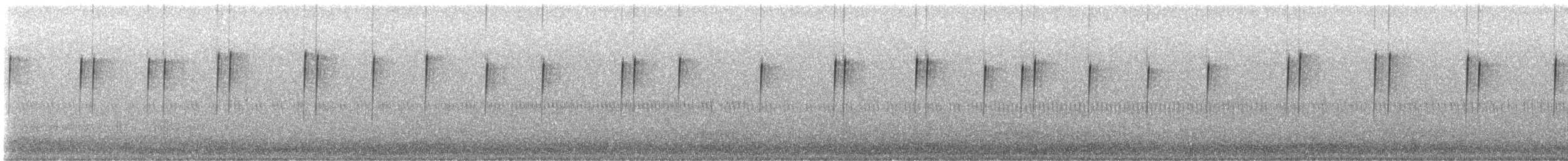 Anna's x Costa's Hummingbird (hybrid) - ML645359799