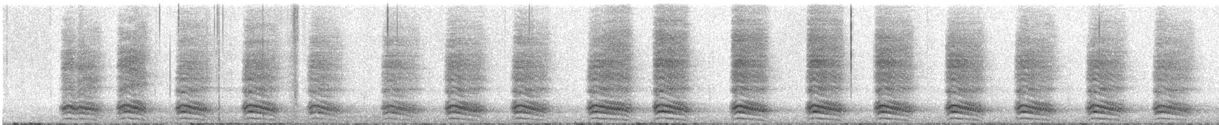 American Crow - ML645360051