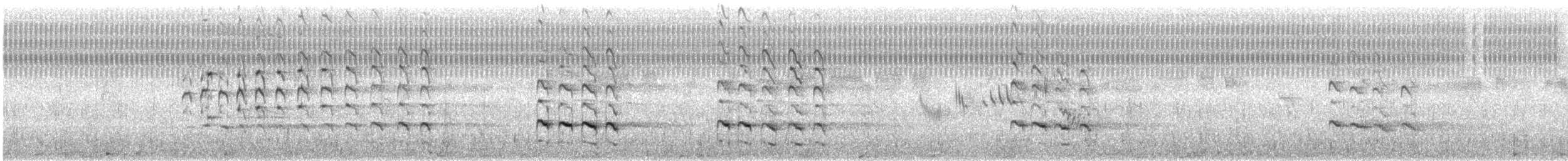 Пёстрый улит - ML645360473