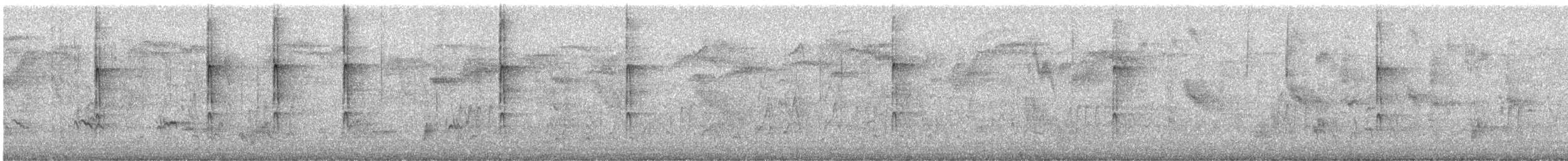 Downy Woodpecker - ML645360677