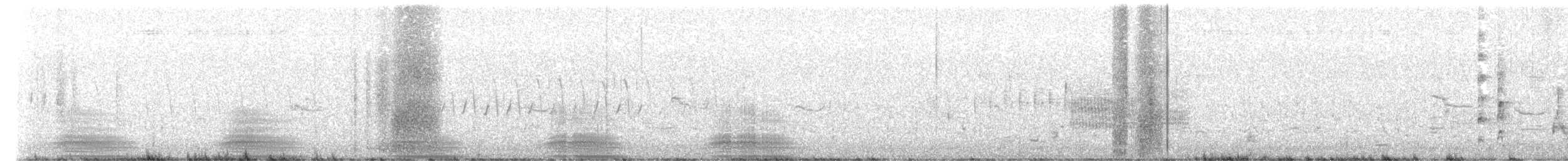 Virginia Rail - ML645360721