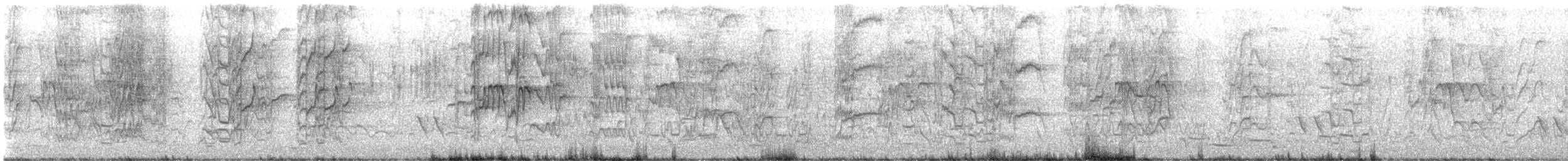 lori mošusový - ML645361209