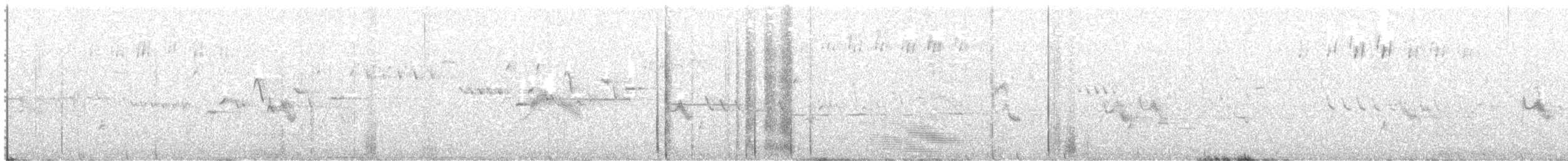 Bicknell's Thrush - ML645361302