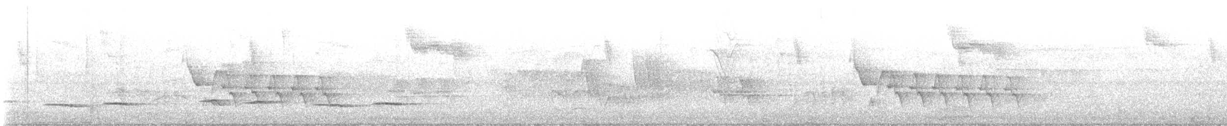 Ave sp. - ML645361630