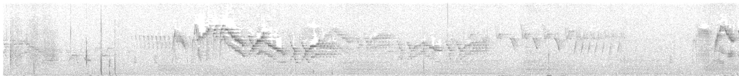 Bicknell's Thrush - ML645362058