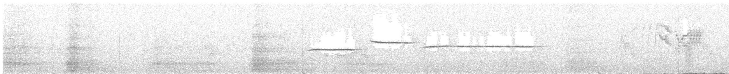 Bicknell's Thrush - ML645362100