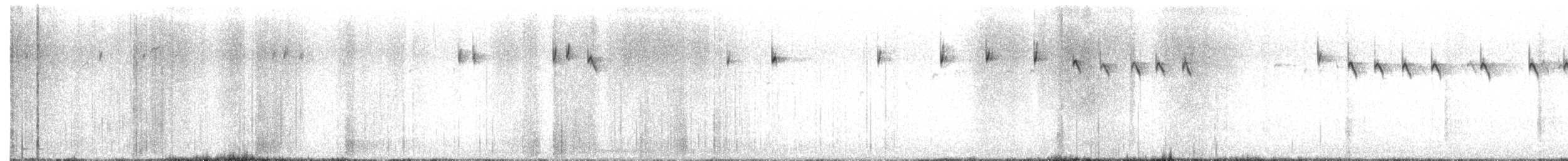 Black-throated Sparrow - ML645362123