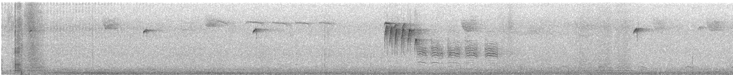 Black-capped Chickadee - ML645362347