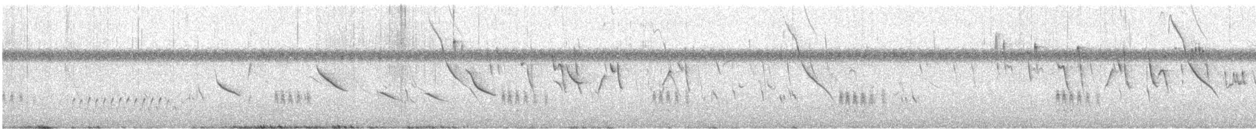 Marsh Seedeater - ML645363089