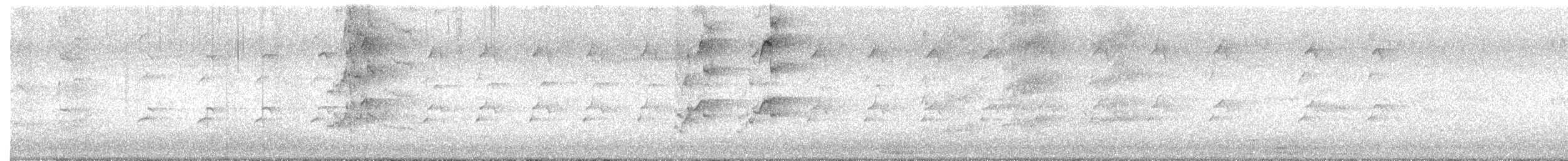 Gray Goshawk - ML645363135