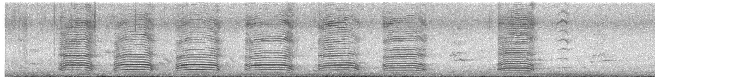 Australian Raven - ML645363367