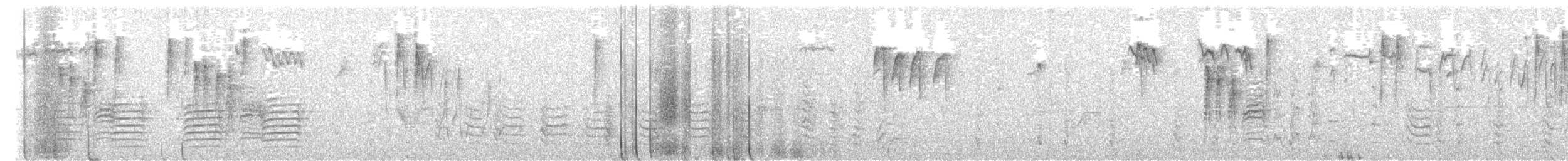 Канадский поползень - ML645363845