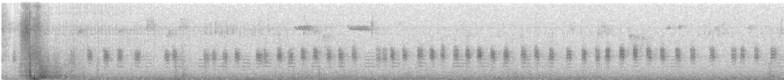 Канадский поползень - ML645363885