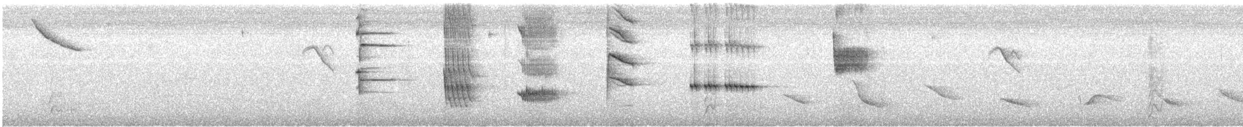 Шиферный дрозд - ML645363952