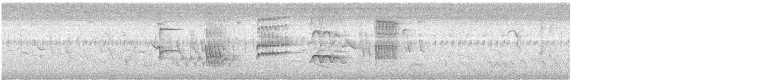 Шиферный дрозд - ML645363954