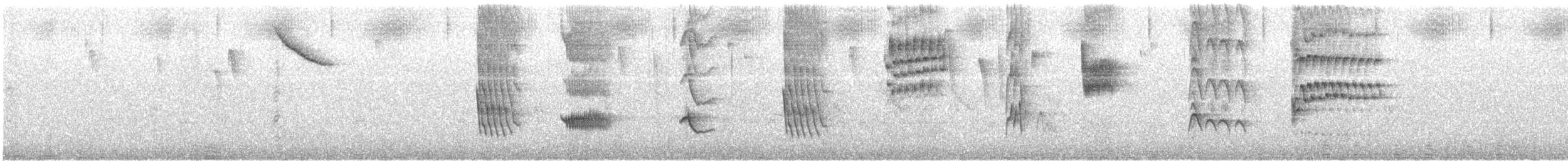 Шиферный дрозд - ML645363955