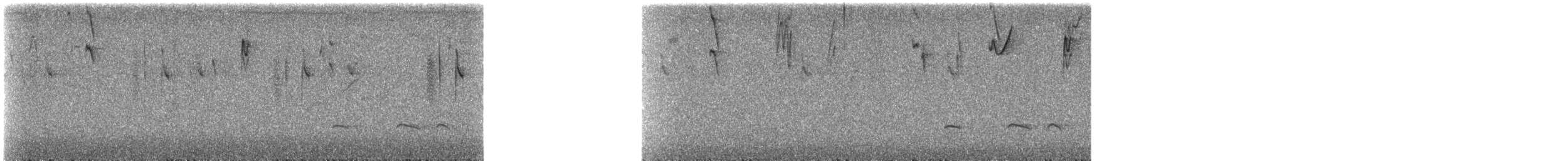 Urubamba Antpitta - ML645364163