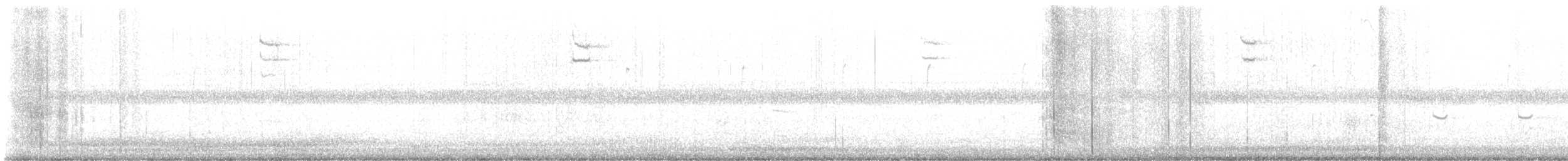 Chingolo de Nelson - ML645364689