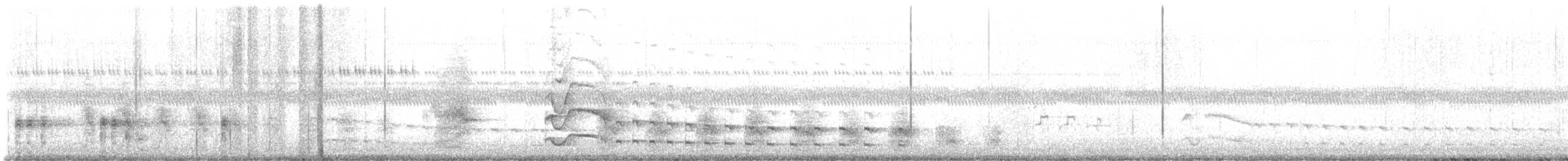 Virginia Rail - ML645364805