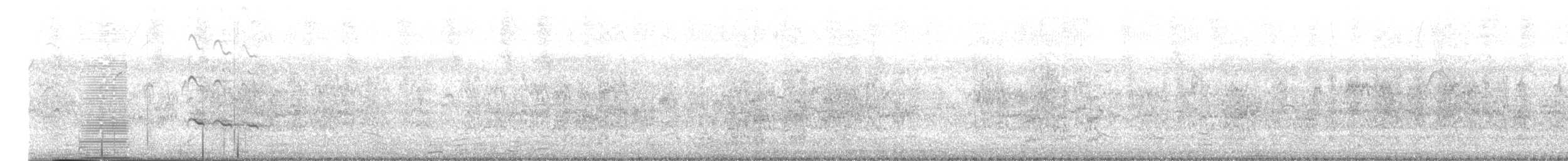 Greater Yellowlegs - ML645365265