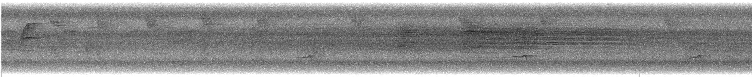 Mistletoe Tyrannulet - ML645365526