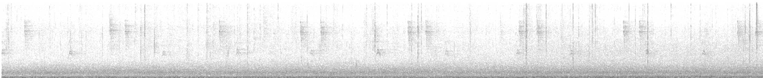 Pacific Wren - ML645365795