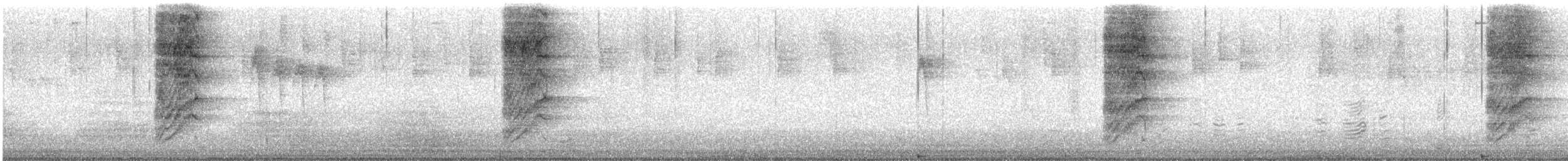 California Scrub-Jay - ML645366631