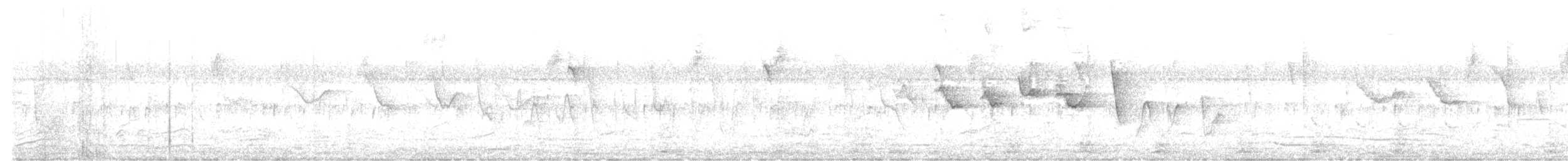 lesňáček potoční - ML645367323