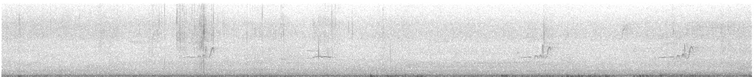 Western Wood-Pewee - ML645367867