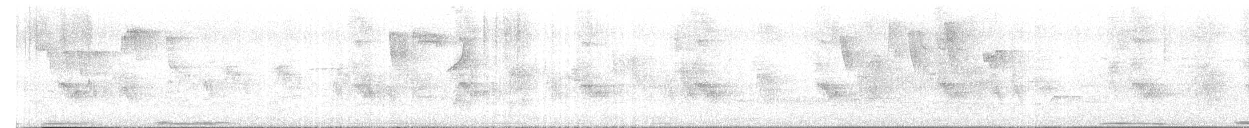 Eared Dove - ML645367973