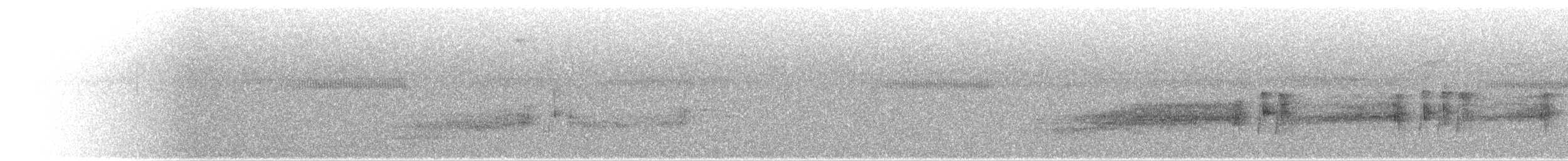 Yapacana Antbird - ML645368244