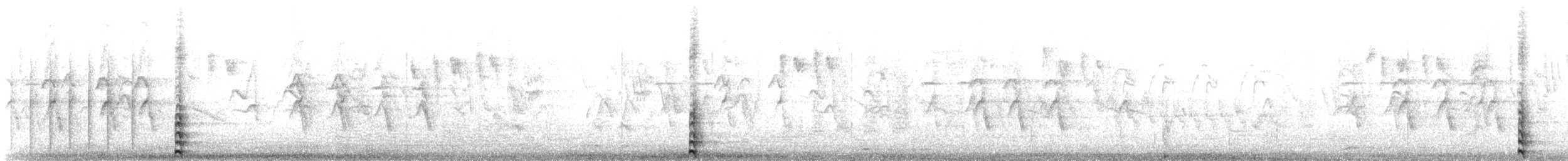 slípka americká - ML645368342