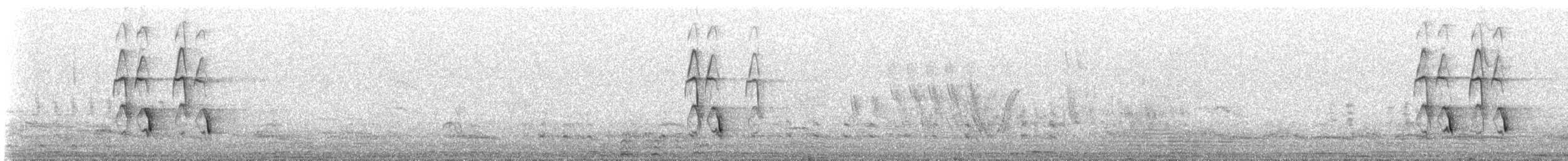 Дрозд-чигуанко - ML645368351