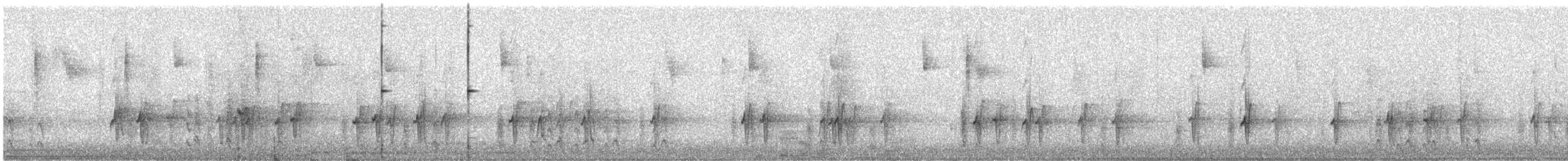 Gray Silky-flycatcher - ML645368592