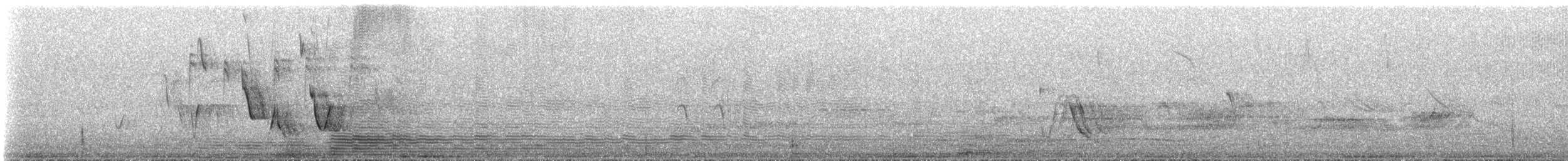 キバシイカル - ML645368959