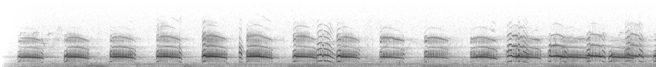 Andean Gull - ML645369106