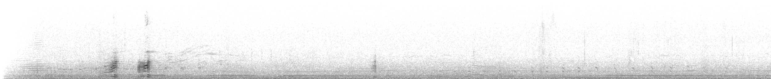 Puna Ibis - ML645369159