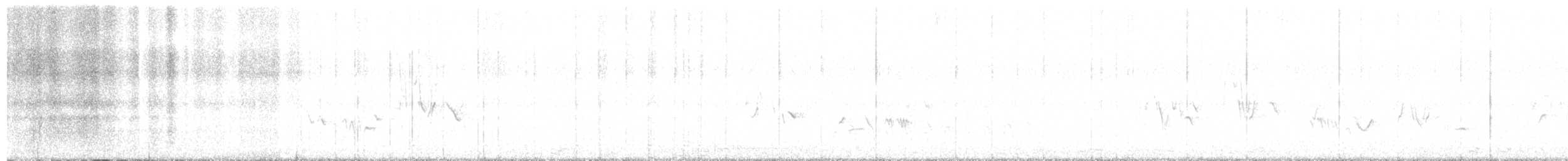 Townsend's Solitaire - ML645369160