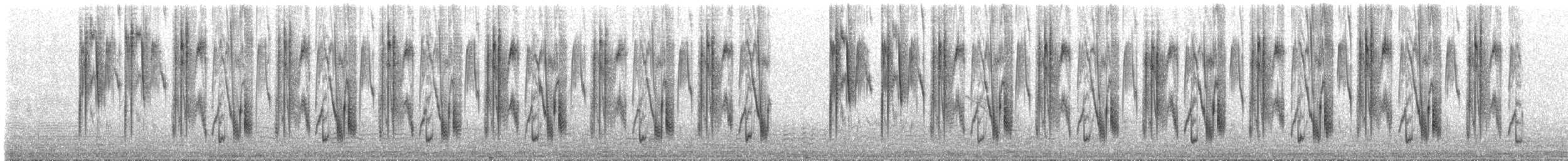 Green-tailed Trainbearer - ML645369708