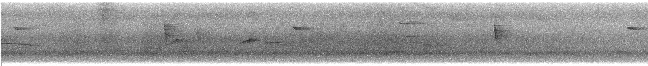 Brown-capped Tyrannulet - ML645369734