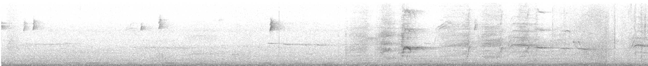 Tennessee Warbler - ML645370638