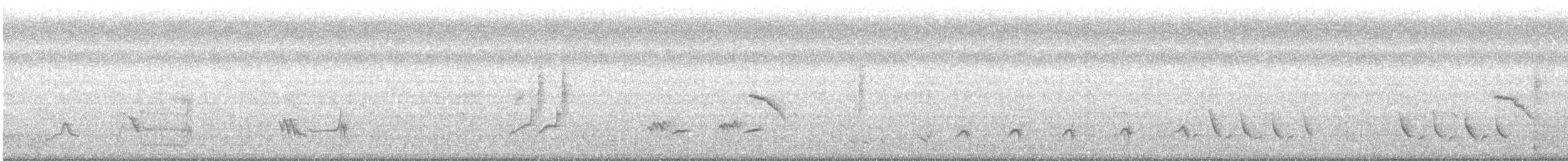 Tropical Mockingbird - ML645370915