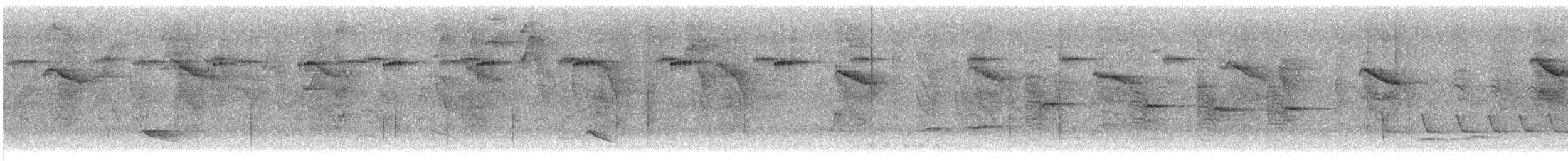 White-winged Becard - ML645370920