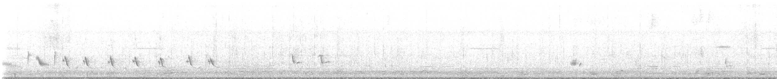 Northern Mockingbird - ML645371035